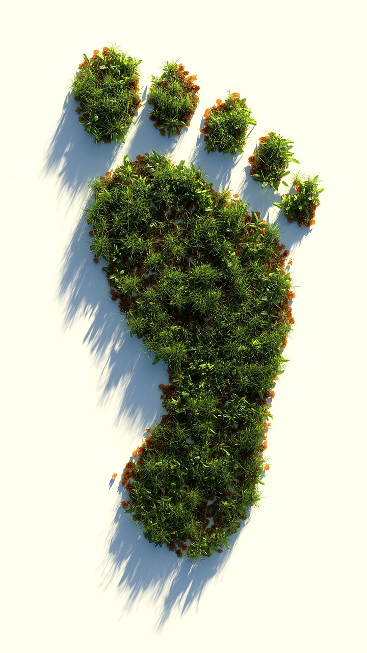 Huella de pie derecho conformada por vegetación para simbolizar la huella ecológica.