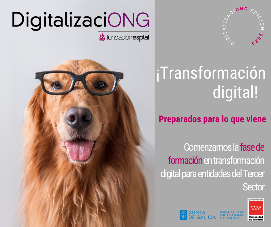 Arranca la Fase 3 de DigitalizaciONG: Formaciones en Competencias Digitales para el Tercer Sector