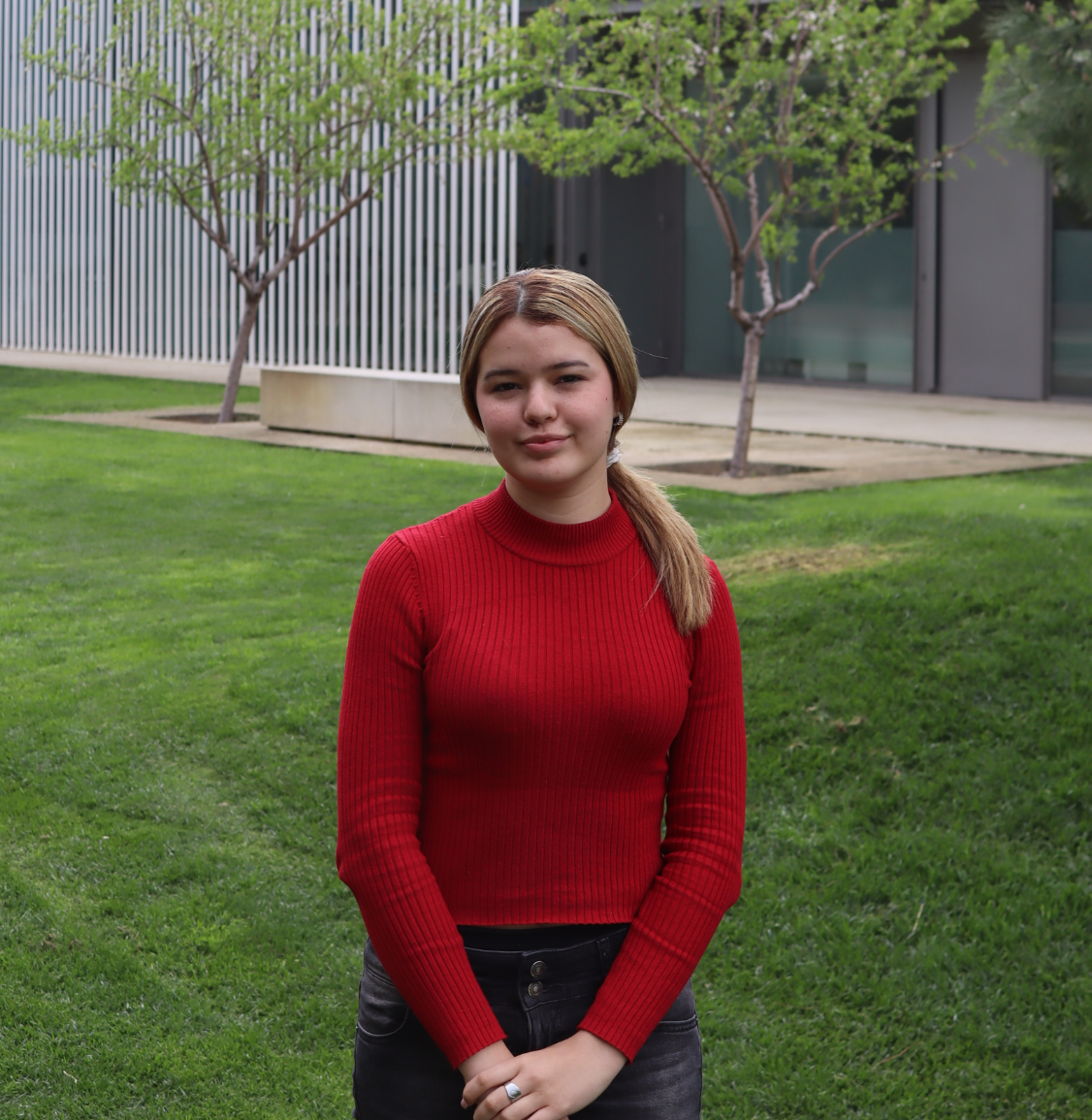 Gerling Bonilla Esis