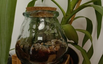 Reforzamos nuestro compromiso con el cuidado del planeta