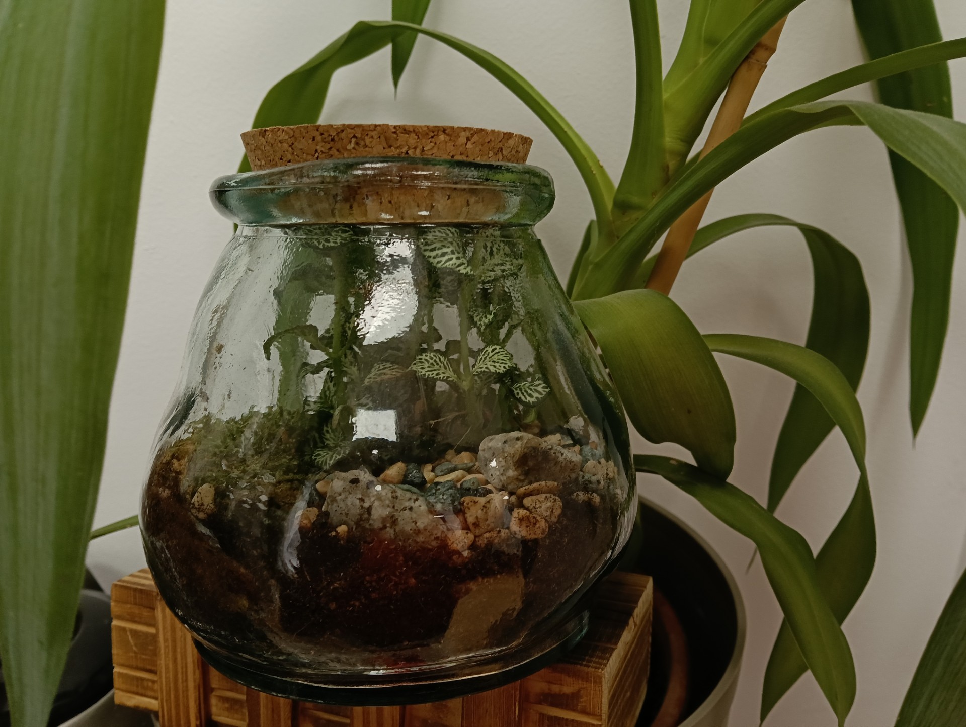 Reforzamos nuestro compromiso con el cuidado del planeta