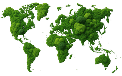 Compromiso compartido con el planeta bajo el Sistema de Gestión Ambiental